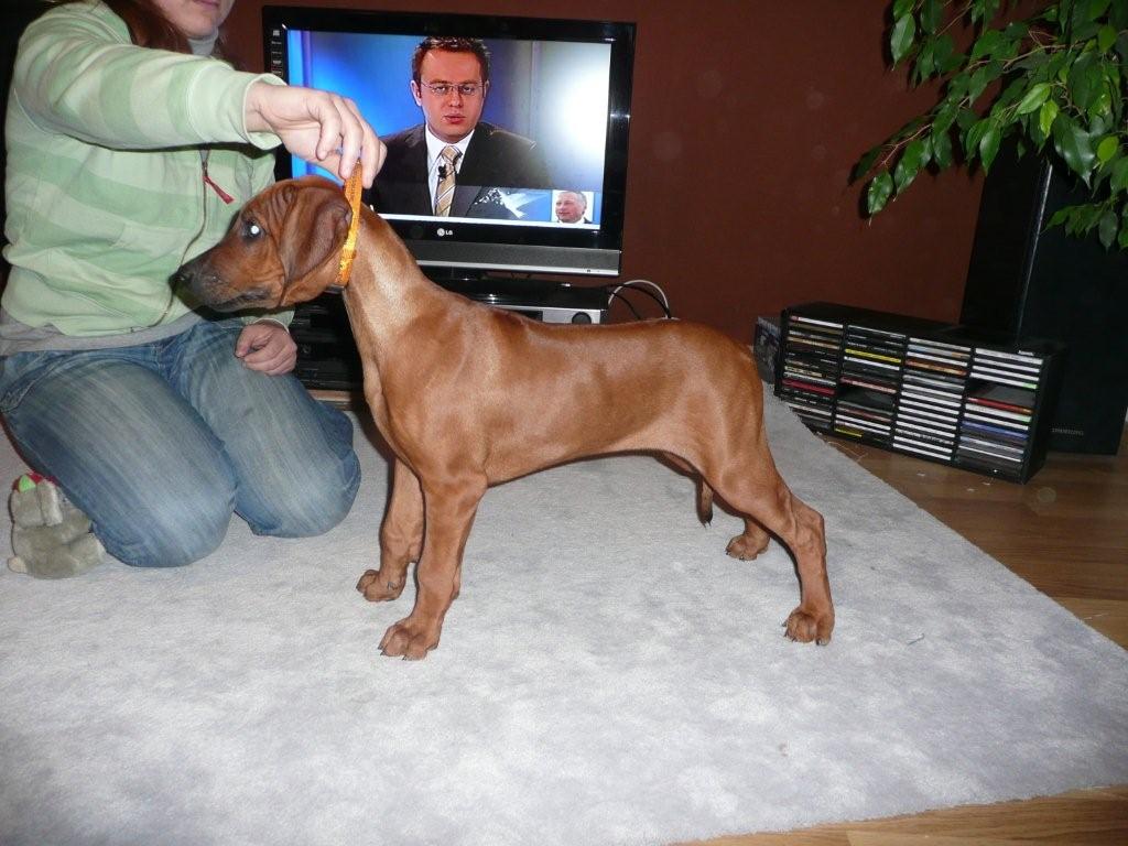 6 Postoj Belisa.jpg