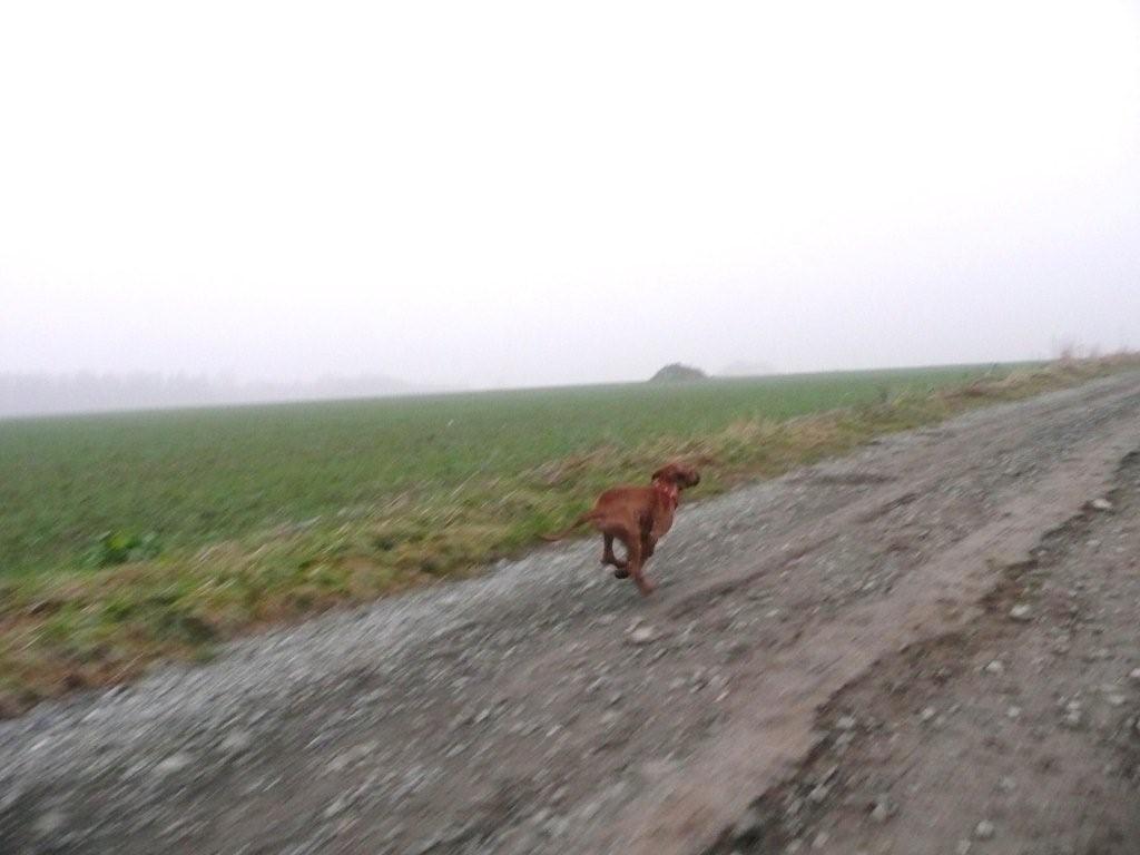 P1020515.jpg