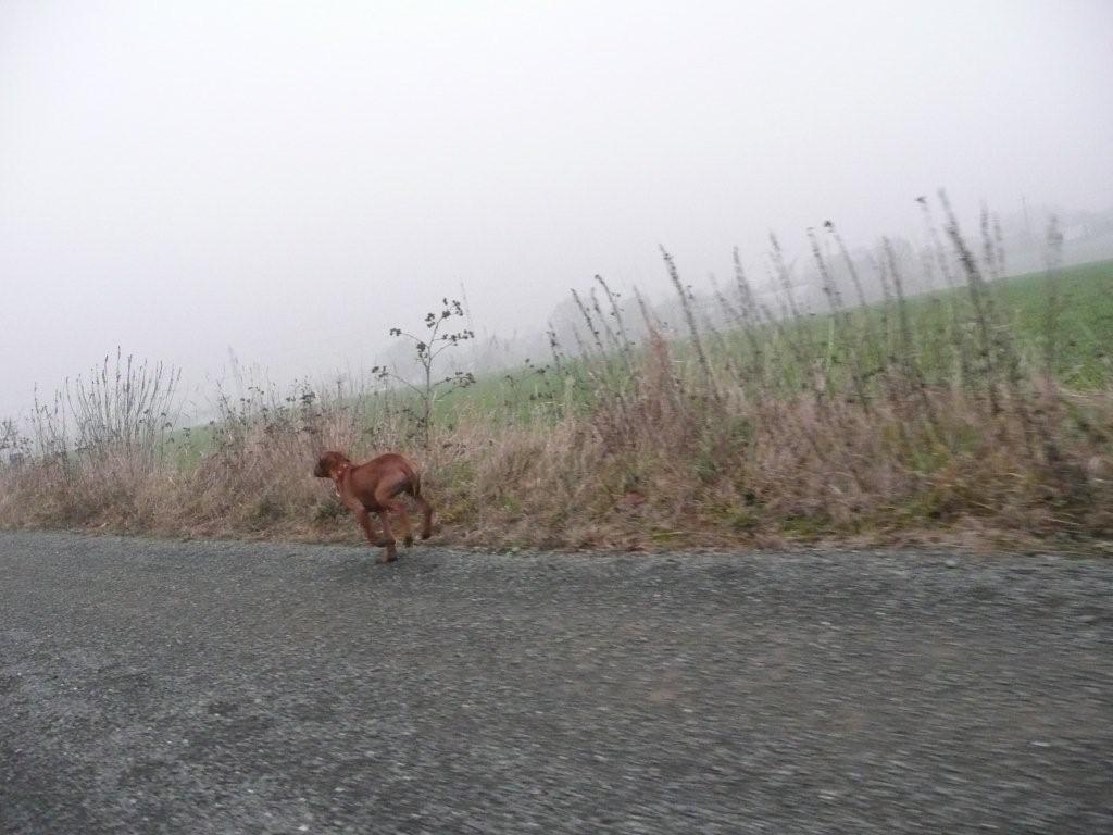 P1020525.jpg