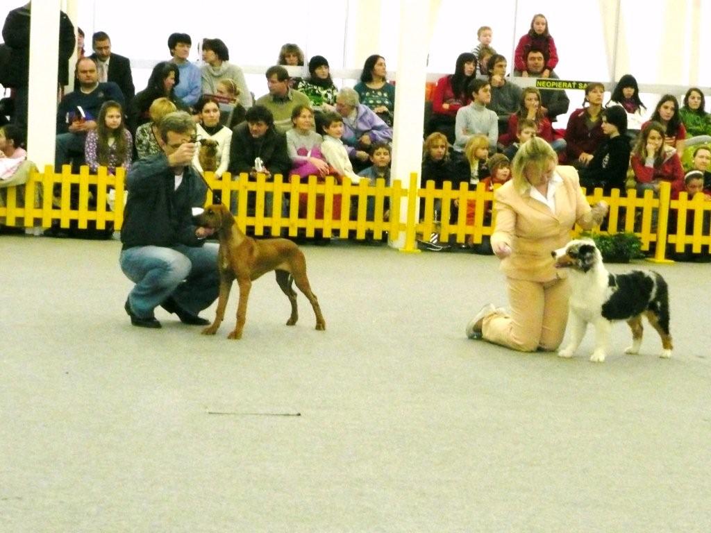 P1030630.JPG