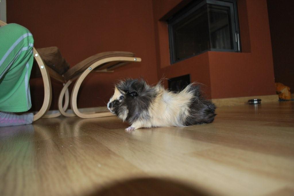 DSC_0136.JPG